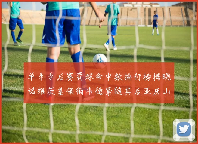 单季季后赛罚球命中数排行榜揭晓诺维茨基领衔韦德紧随其后亚历山大名列第四